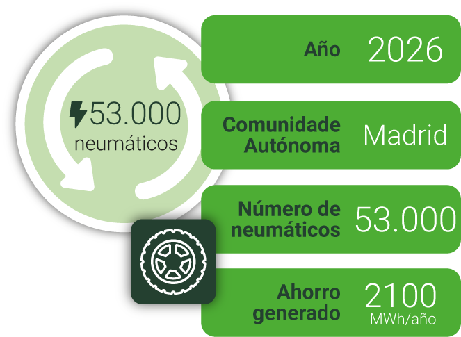 Validación masiva de ventas de neumáticos